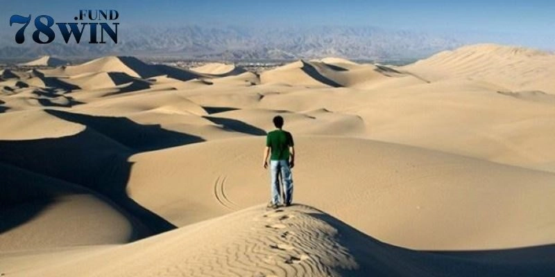 Lý giải ý nghĩa chung của giấc chiêm bao thấy đi lạc